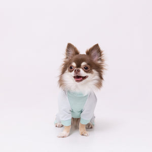 pipi 防虫ロンパース ペット用品 26SS