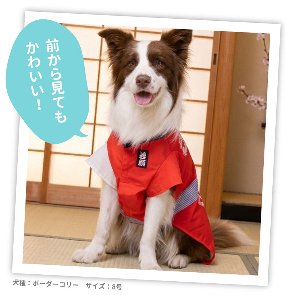 EC PiPiお祭りはっぴ 中大型犬 ペット用品 犬服 ペットウェア ペット
