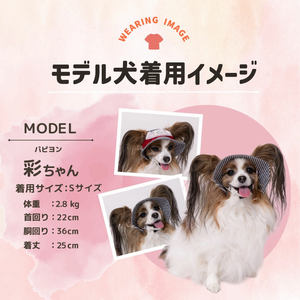 pipi ヒッコリーハット ペット用品 26SS