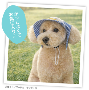 pipi ヒッコリーハット ペット用品 26SS