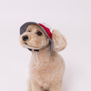 pipi ヒッコリーハット ペット用品 26SS