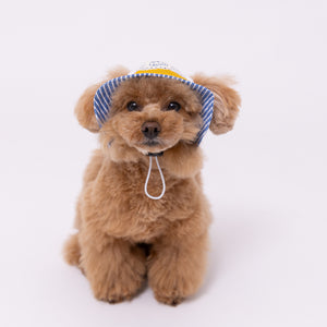 pipi ヒッコリーハット ペット用品 26SS