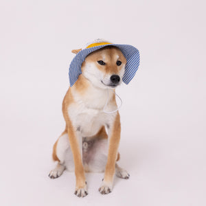 pipi ヒッコリーハット ペット用品 26SS