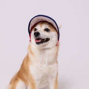 pipi サンバイザー  ペット用品 26SS