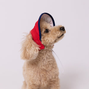 pipi サンバイザー  ペット用品 26SS