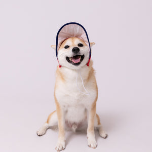 pipi サンバイザー  ペット用品 26SS