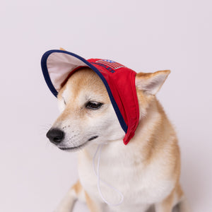 pipi サンバイザー  ペット用品 26SS