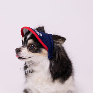 pipi サンバイザー  ペット用品 26SS