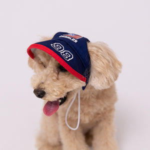 pipi サンバイザー  ペット用品 26SS