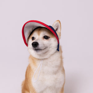 pipi サンバイザー  ペット用品 26SS