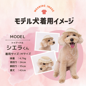 pipi ストローハット ペット用品 26SS