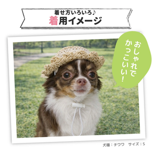pipi ストローハット ペット用品 26SS