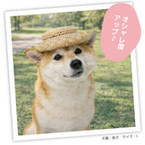 pipi ストローハット ペット用品