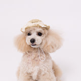 pipi ストローハット ペット用品
