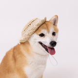 pipi ストローハット ペット用品