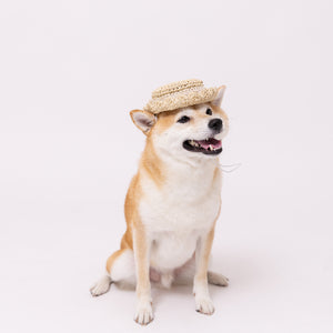 pipi ストローハット ペット用品 26SS