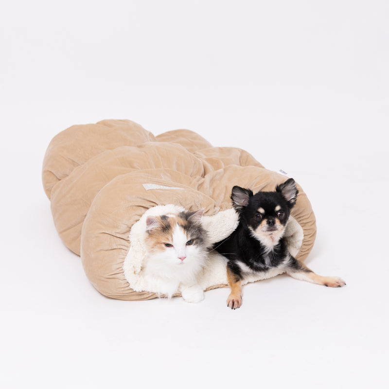 PET THREEもぐりん ペット用品