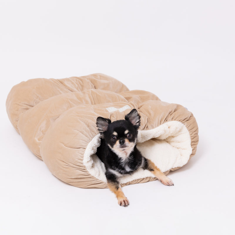 PET THREEもぐりん ペット用品