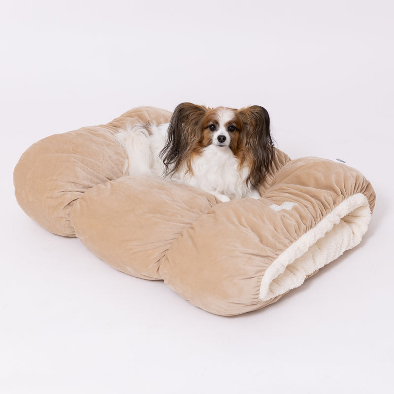 PET THREEもぐりん ペット用品