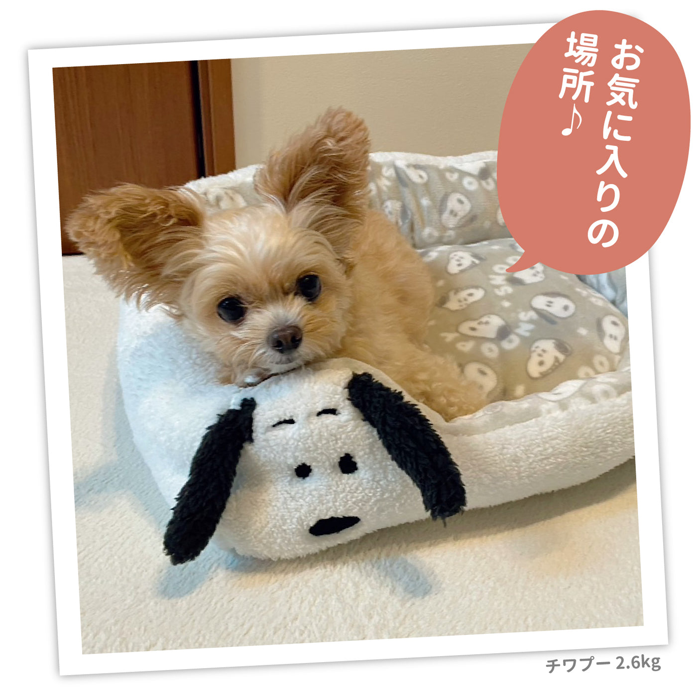 SNOOPY スヌーピーフェイス柄ボアソファベッド ペット用品