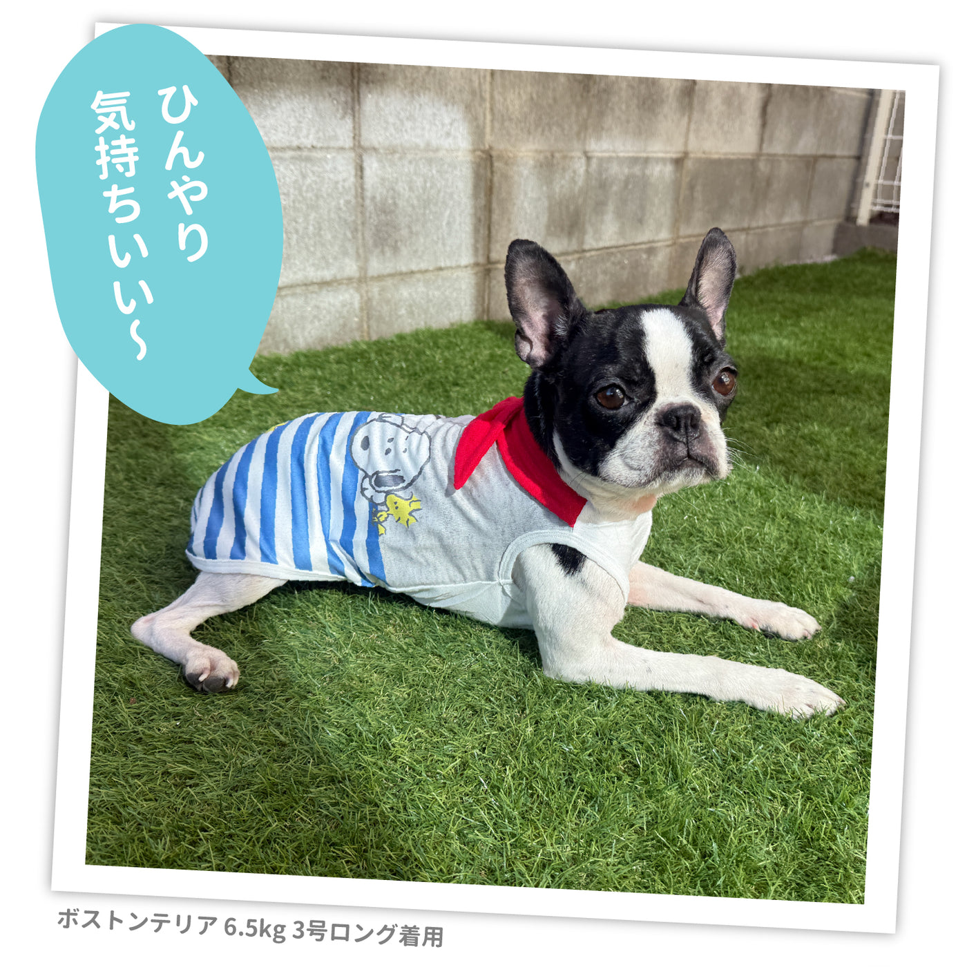 ECスヌーピーバンダナ付きクールタンク ペット用品 犬服 ペットウェア