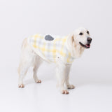 【先行予約 20％OFF】 スヌーピーチェックシェニールニット中・大型犬 ペット用品