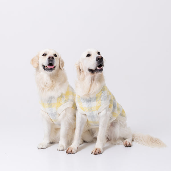 【先行予約 20％OFF】 スヌーピーチェックシェニールニット中・大型犬 ペット用品