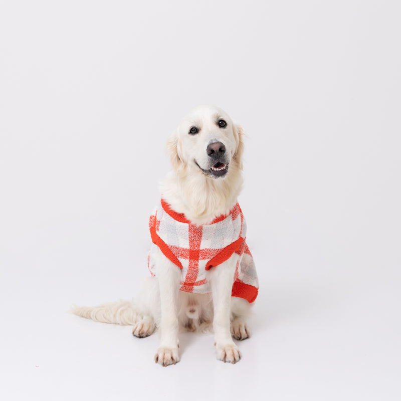 【先行予約 20％OFF】 スヌーピーチェックシェニールニット中・大型犬 ペット用品