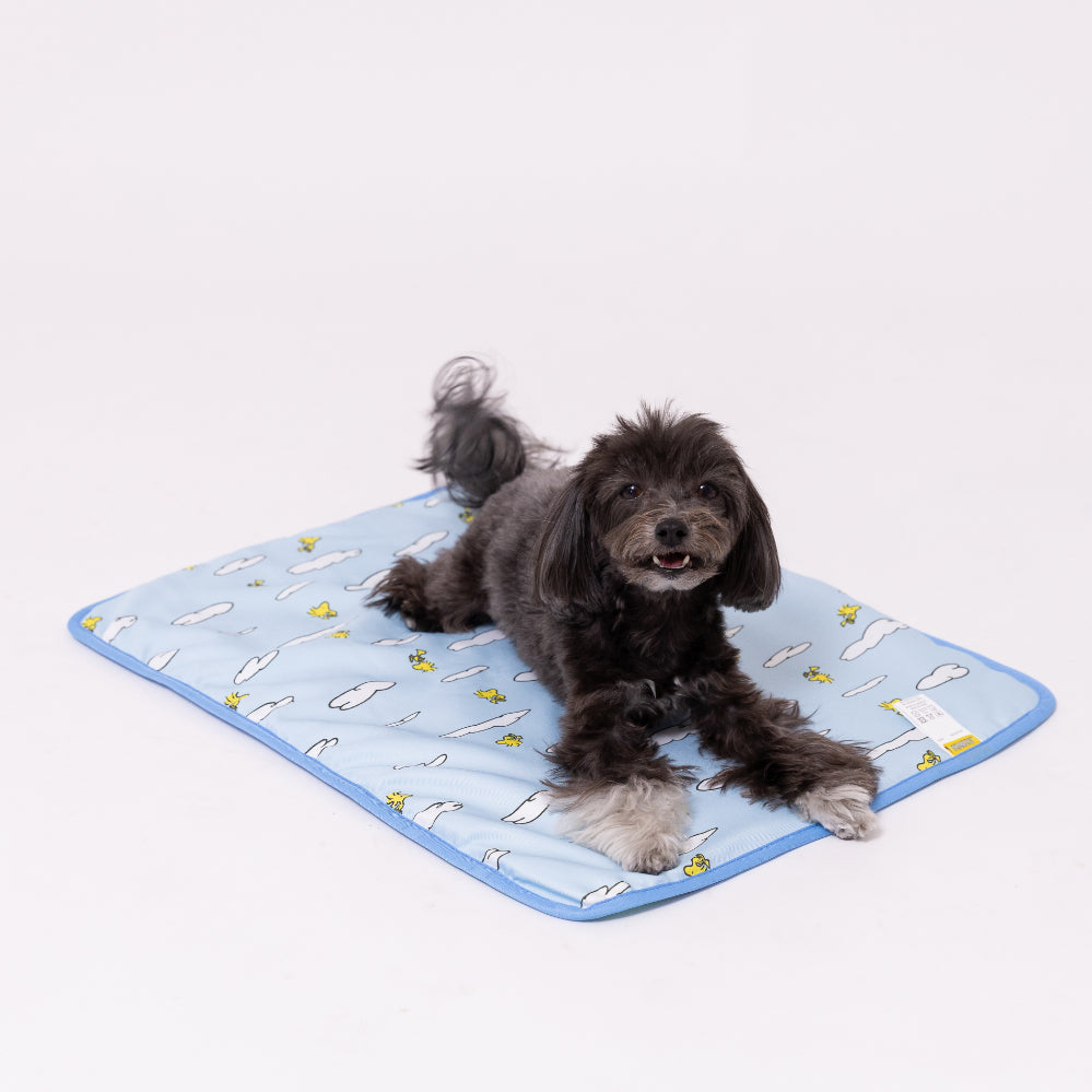 スヌーピー青空柄クールブランケット ペット用品