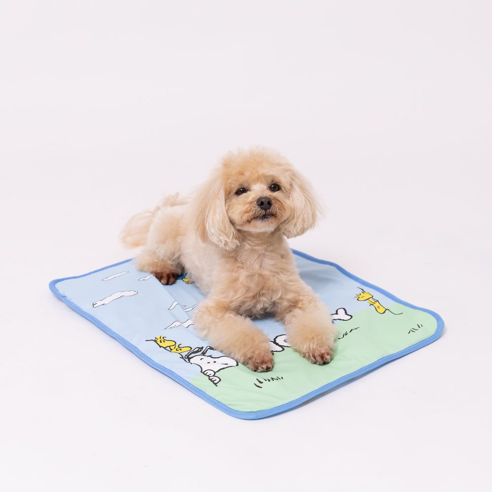 スヌーピー青空柄クールブランケット ペット用品