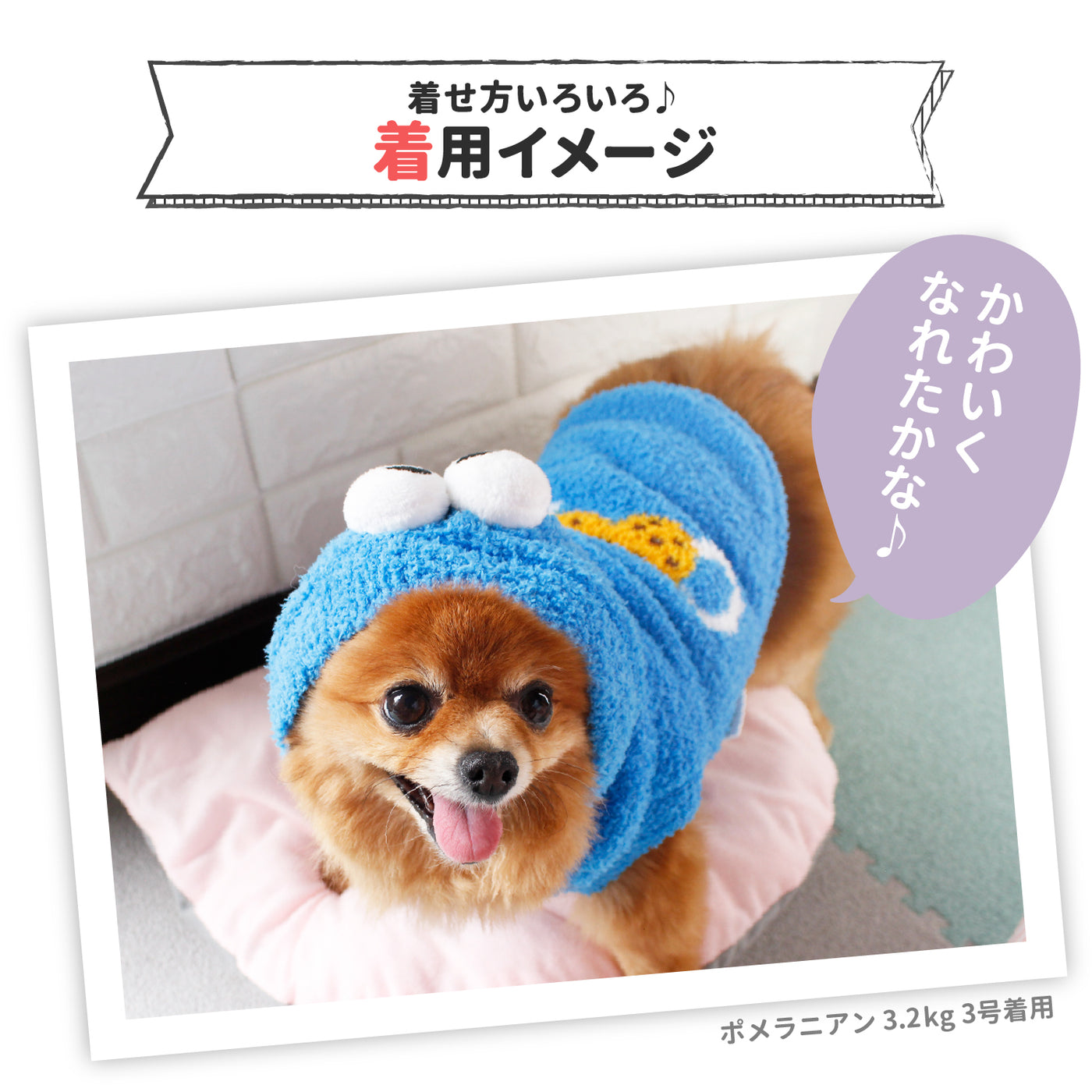 SS242-022-001_20_4547da19-fd44