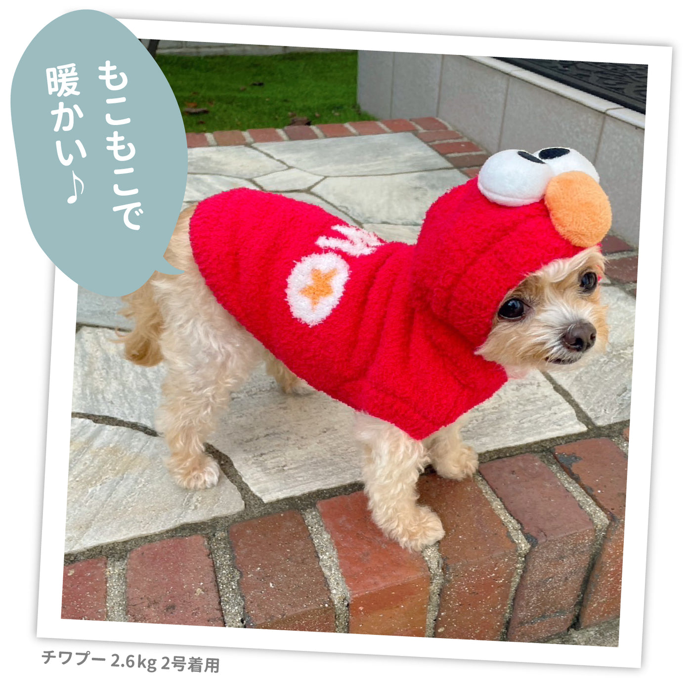 SS242-022-001_21_1400x.jpg?v=