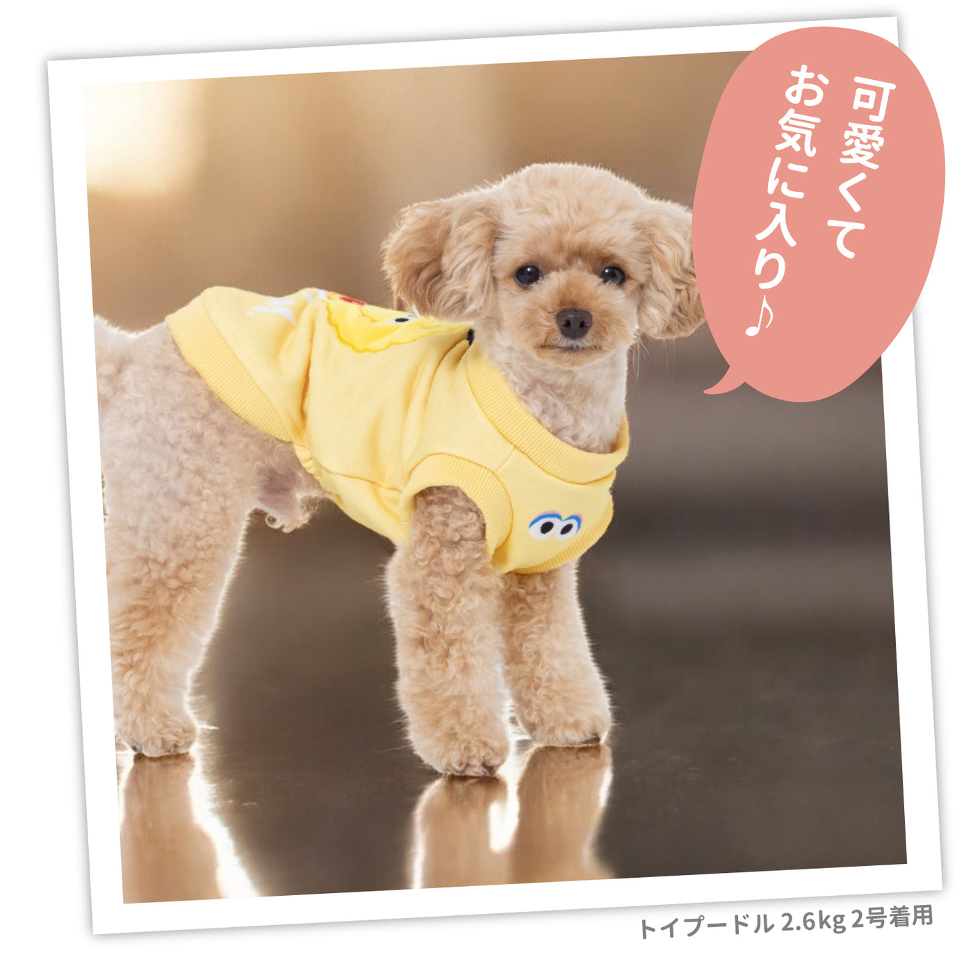 SS242-022-004_21_1400x.jpg?v=