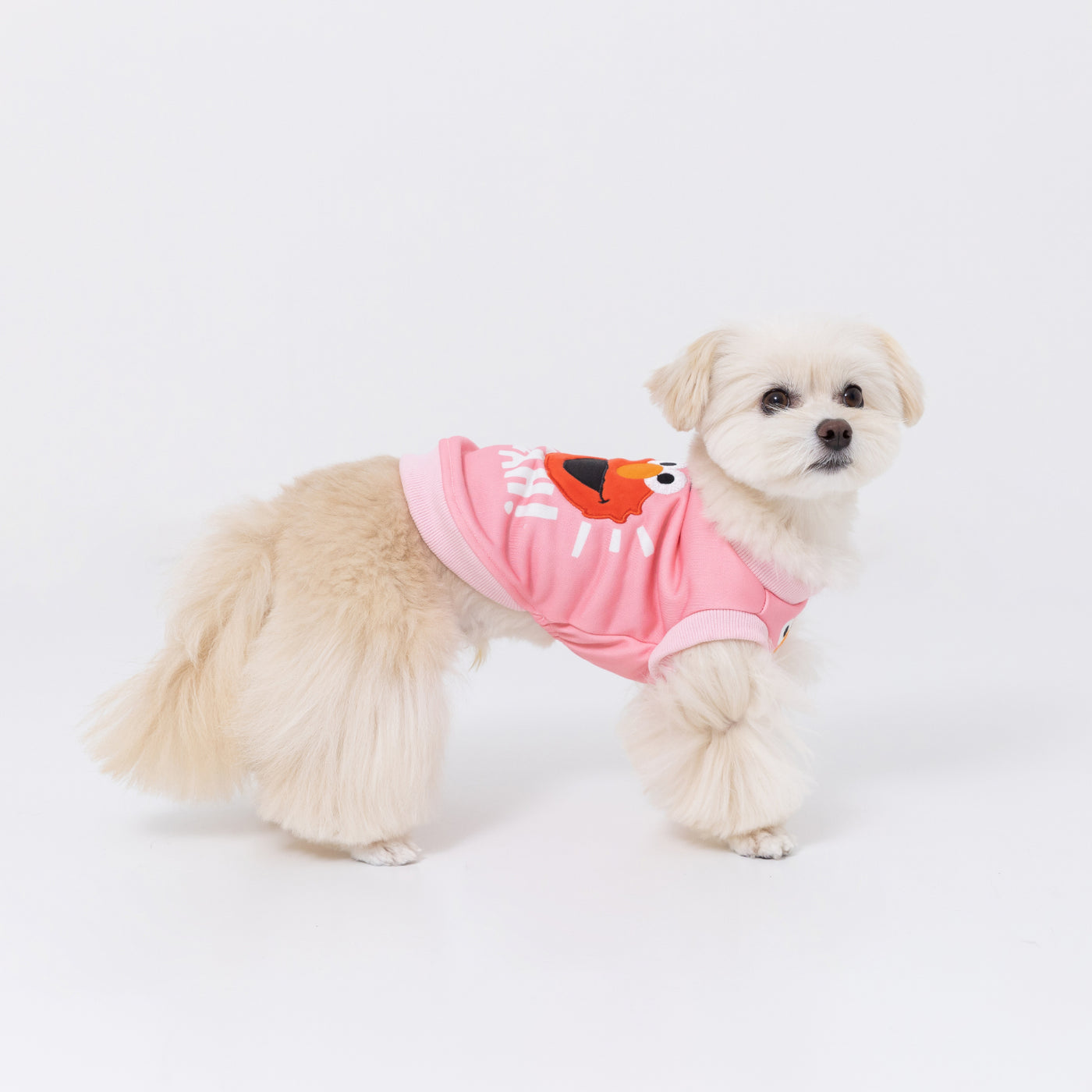 SESAMI STREET エルモアップリケトレーナー ペット用品 ペットウェア