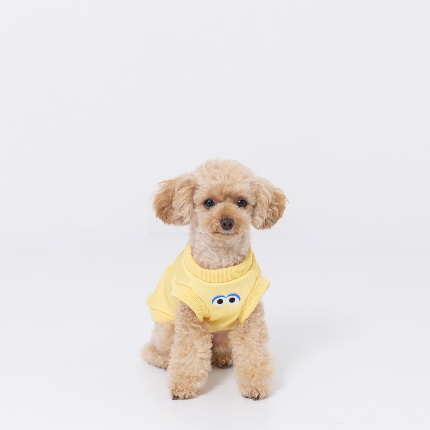 犬マフィンさん専用 ECミッフィークールタンク りんご ペット用品 犬服 ペットウェア