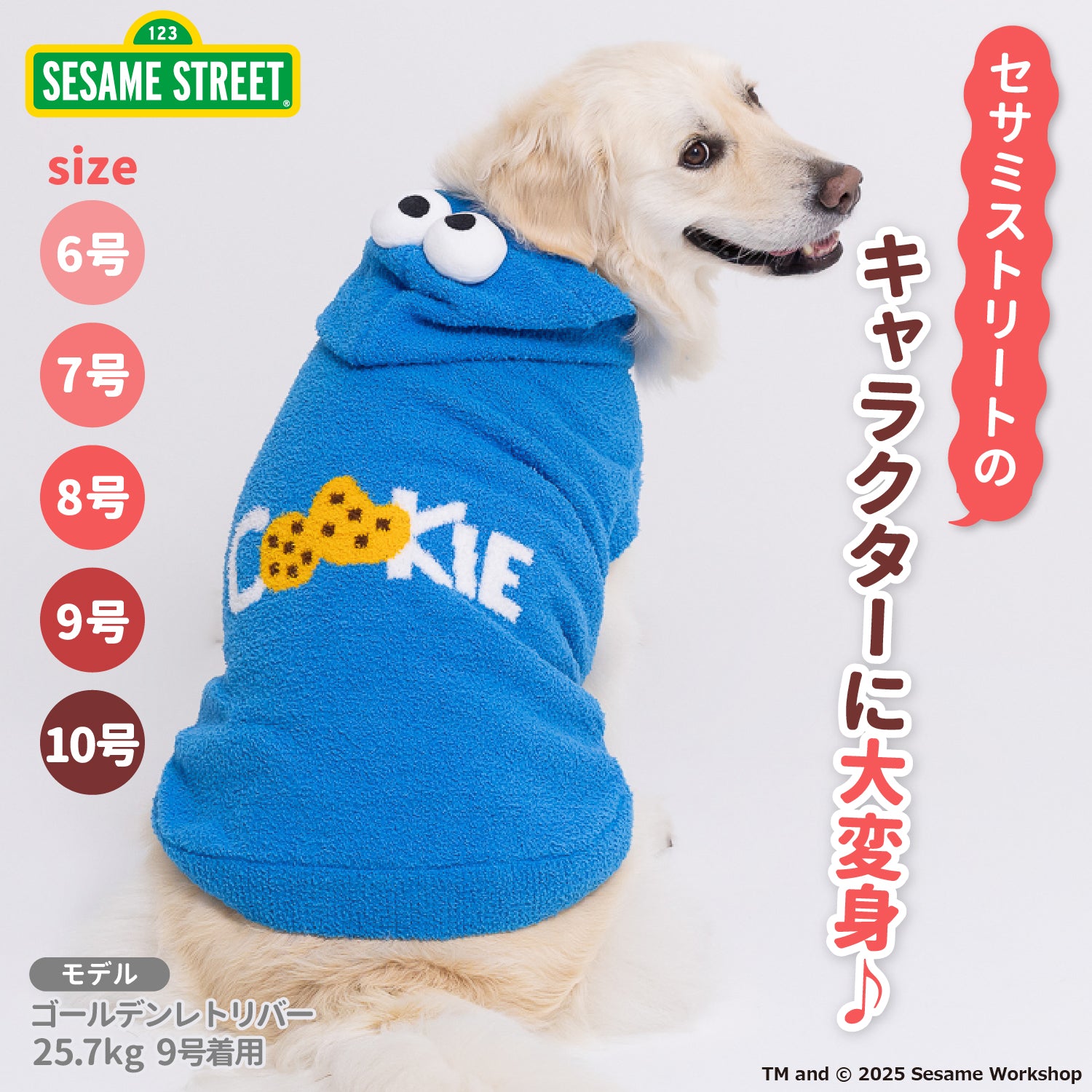 Sesame Street -セサミストリート-