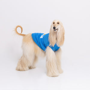【SESAME STREET】セサミストリート なりきりニットウエア中・大型犬 ペット用品 エルモ クッキーモンスター ビッグバード