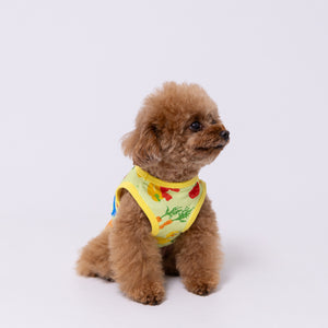 【SESAME STREET】セサミストリート ベジタブル柄タンク ペット用品 26SS