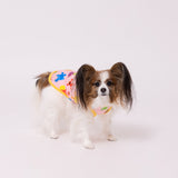 セサミフルーツ柄タンク ペット用品