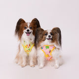 セサミフルーツ柄タンク ペット用品