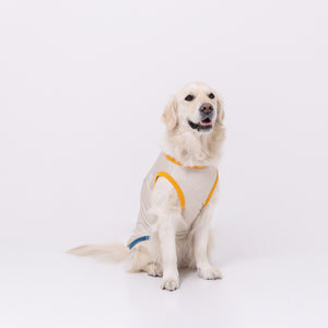 セサミサーフタンク SURF DAYS 中大型犬 ペット用品 26SS