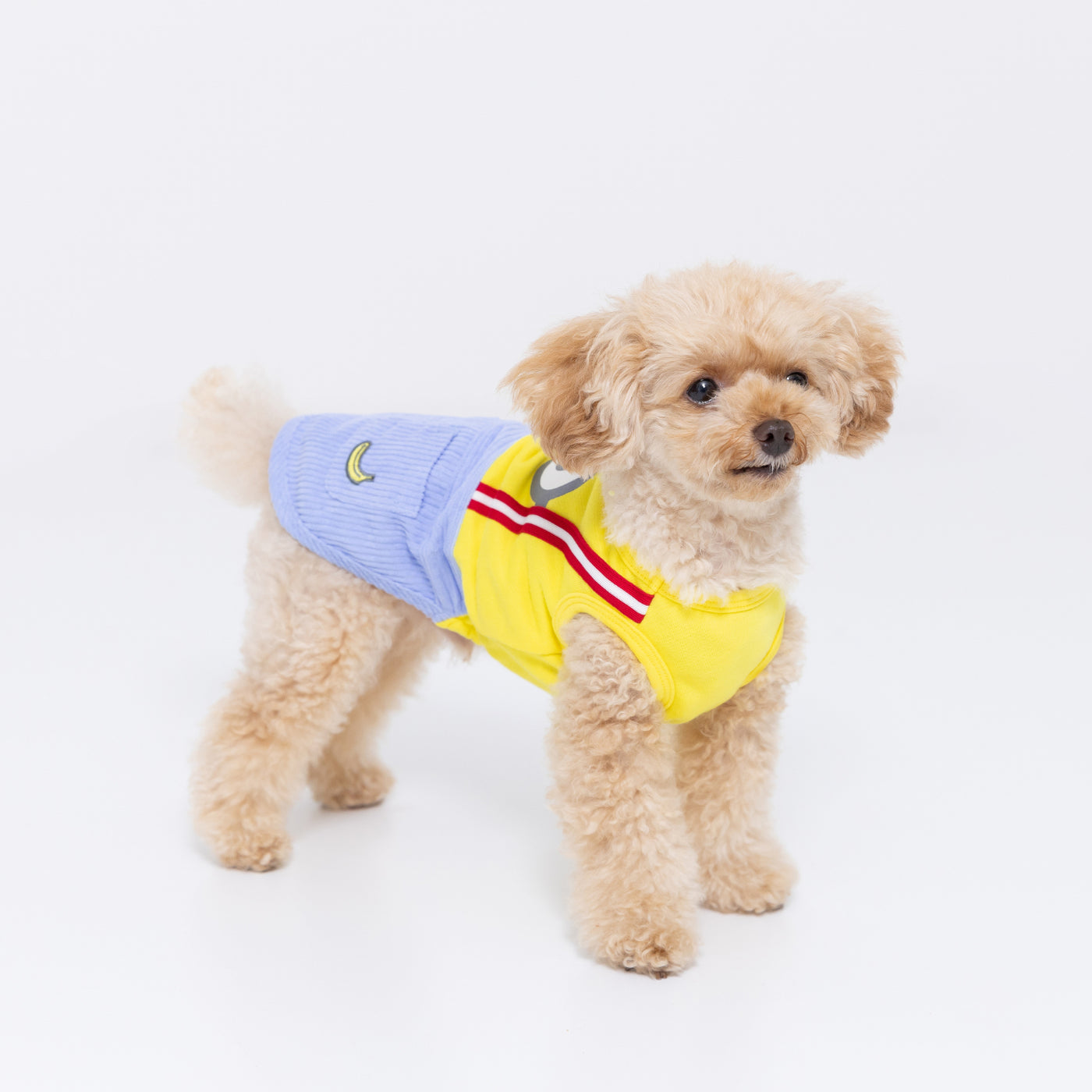 minionレイヤードトレーナー ペット用品 ペットウェア 犬服 犬服