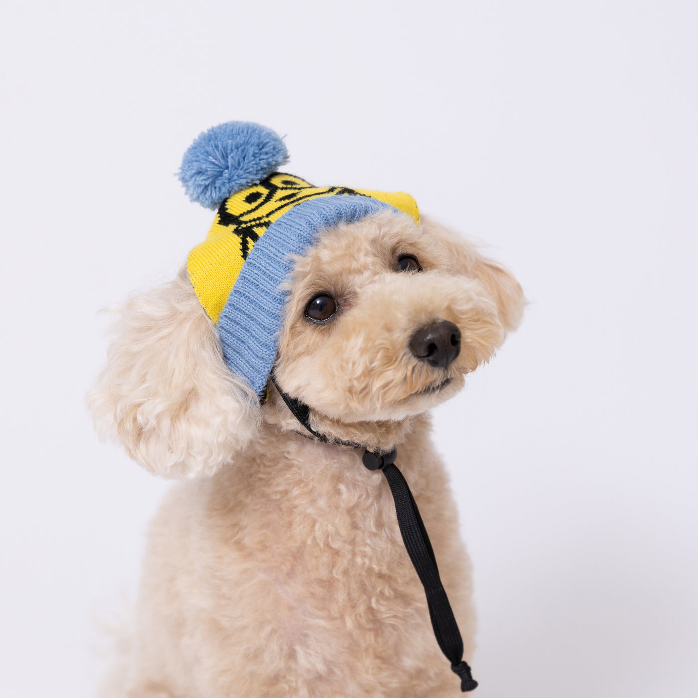 ミニオンニット帽 ペット用品 犬服 ペットウェア ペット用品｜MOFF