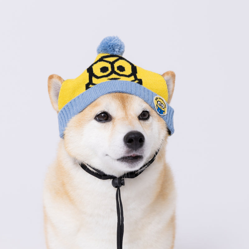 ミニオンニット帽 ペット用品