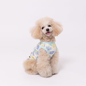 【minions】ミニオンズ ティム メッシュタンク ペット用品 26SS
