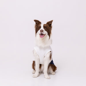 【minions】ミニオンズ デニム切替タンク 中・大型犬 ペット用品 26SS