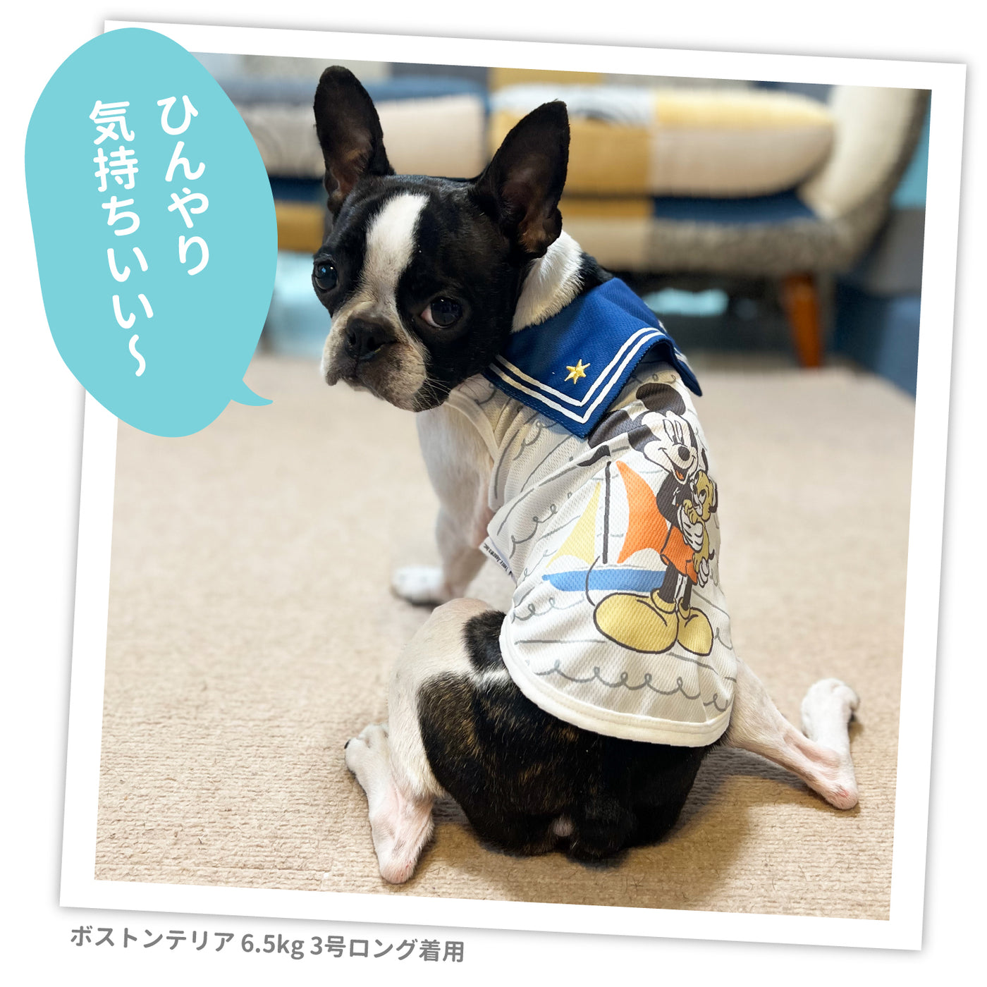 ミッキータンク24 犬服 ペットウェア ペット用品｜MOFF(モフ) 犬服 ドッグ ペットウェア ショップ – PET LIFESTYLE MOFF