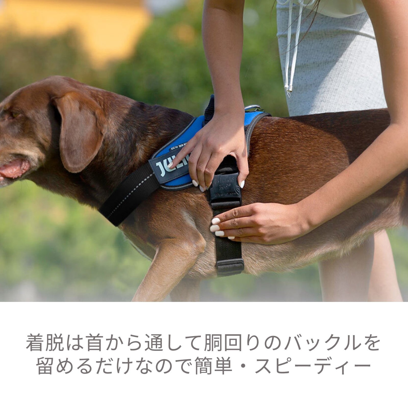 IDCパワーハーネス 犬服 ペットウェア ペット用品｜MOFF(モフ) 犬服