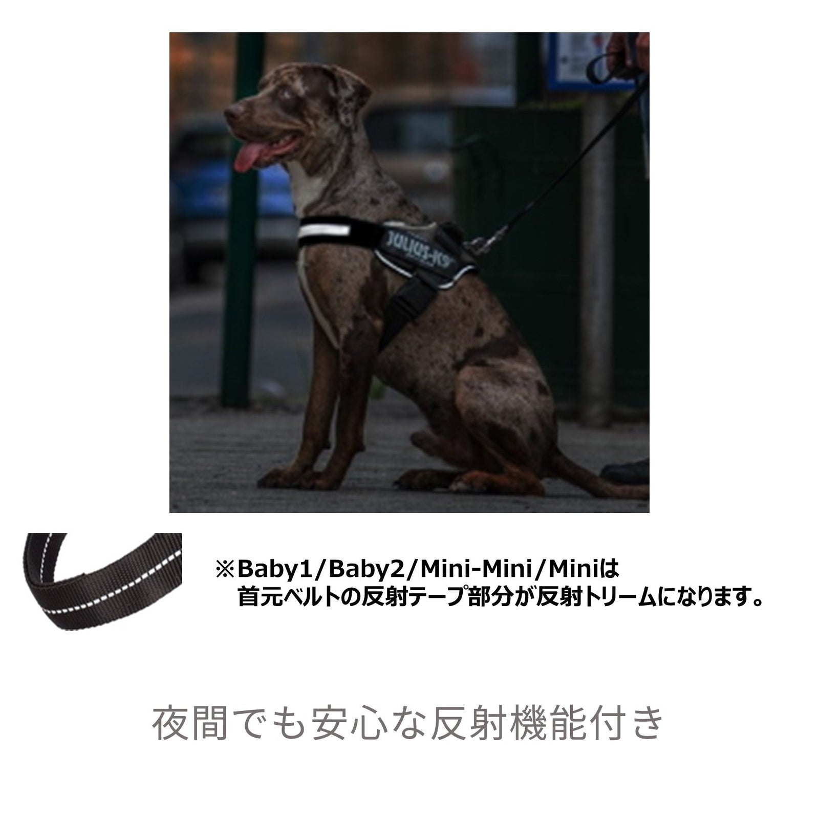 IDCパワーハーネス 犬服 ペットウェア ペット用品｜MOFF(モフ) 犬服