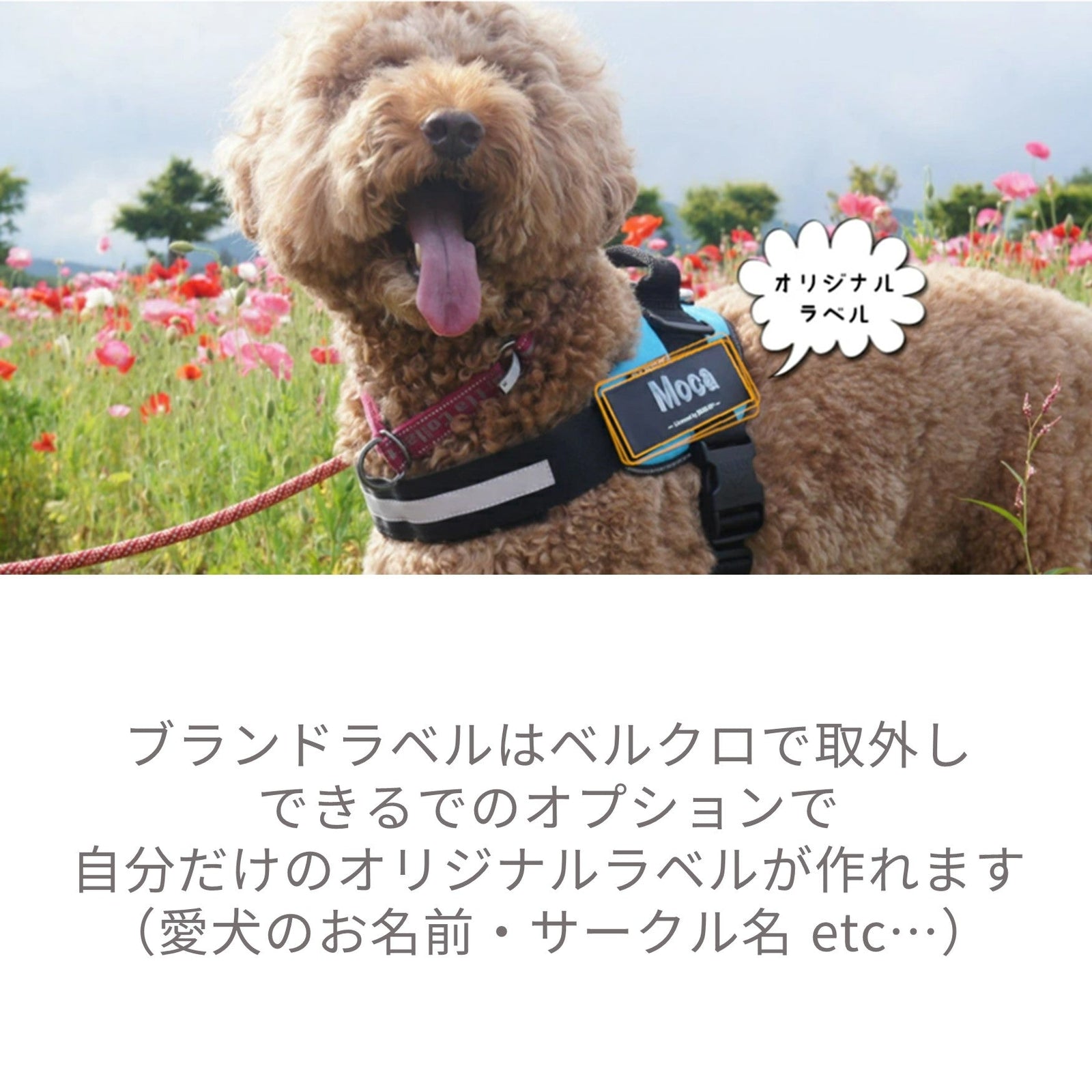 IDCパワーハーネス 犬服 ペットウェア ペット用品｜MOFF(モフ) 犬服